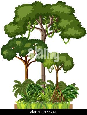 Insieme di diversi alberi della foresta pluviale su illustrazione di sfondo bianco Illustrazione Vettoriale