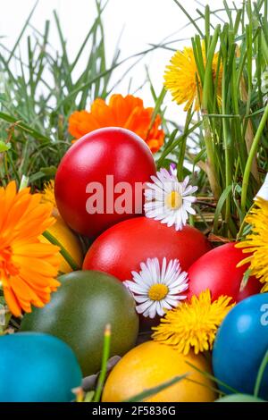 Uova di Pasqua colorate dipinte tradizionalmente nell'erba e nei fiori Foto Stock