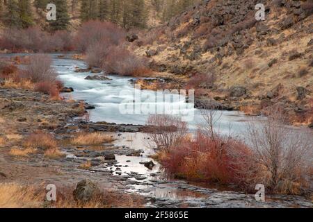 Deschutes Wild & Scenic River lungo Steelhead Falls Trail, Steelhead Falls Wilderness Study Area, Oregon Foto Stock