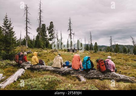 Gruppo di turisti con zaini si trova sulla cima della montagna. Si siedono su albero caduto in compensazione con un abbandonato inverno trimestri.Wildlife Foto Stock