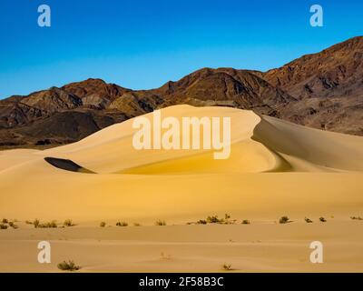 Le dune Ibex nel remoto Death Valley National Park, California, USA Foto Stock