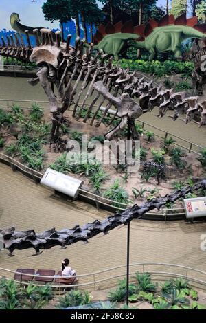 Gli scheletri di dinosauri sono esposti nel Museo Carnegie di Storia Naturale. Pittsburgh.Pennsylvania.USA Foto Stock