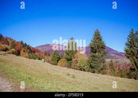 Paesaggio autunnale in montagna con prato e alberi colorati sullo sfondo Foto Stock