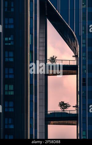 Lo spazio e il collegamento tra splendidi edifici condominiali moderni con ponti, alberi sono stati piantati sulla passerella, cielo tramonto. Foto Stock