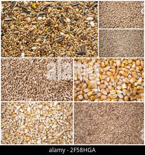 immagine composita di cereali per alimenti animali Foto Stock