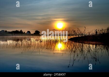 Dawn sul mare dei laghi del tè nella provincia di Gia Lai, Viet Nam Foto Stock