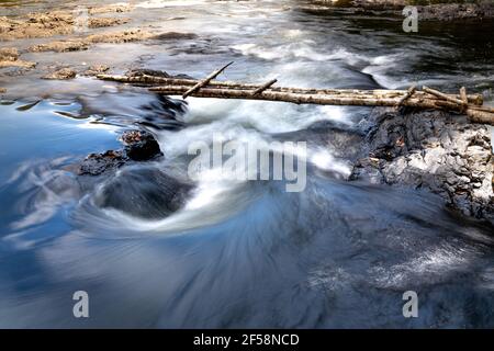 Piccolo ponte di legno che attraversa il torrente nella foresta tropicale Foto Stock