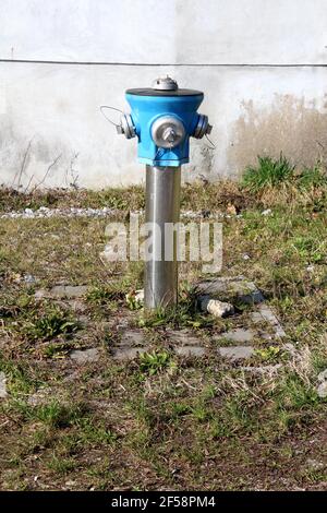 Idrante antincendio nuovo di zecca con tubo metallico lucido e blu parte superiore con cinque tappi resistenti che coprono i collegamenti per i carrelli antincendio circondato da erba non tagliata Foto Stock