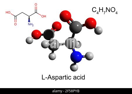 Formula chimica, formula strutturale e modello 3D a sfera e bastone di acido L-aspartico, fondo bianco Foto Stock