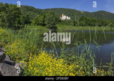 Geografia / viaggio, Germania, Renania-Palatinato, Coblenza, Castello di Stolzenfels a Coblenza sul Reno, diritti-aggiuntivi-clearance-Info-non-disponibile Foto Stock