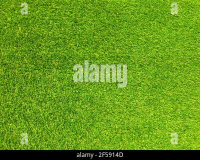 Sfondo erboso artificiale per il design, vista dall'alto Foto Stock