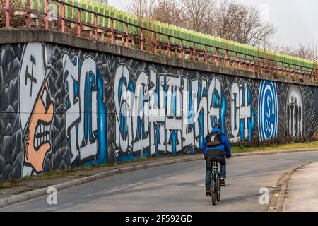 Murale di grande formato, graffiti, della scena dei fan di Schalke, sotto l'autostrada A42, uscita Gelsenkirchen-Schalke, Ruhrpott Romantik, Gelsenkirchen, NRW, Ger Foto Stock