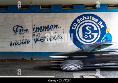 Murale, pittura a ventaglio del Bundesliga club FC Schalke 04, allo stadio Schalke, Veltins Arena, galleria stradale, a Gelsenkirchen, NRW, Germania Foto Stock