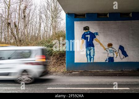 Murale, pittura a ventaglio del Bundesliga club FC Schalke 04, allo stadio Schalke, Veltins Arena, galleria stradale, a Gelsenkirchen, NRW, Germania Foto Stock