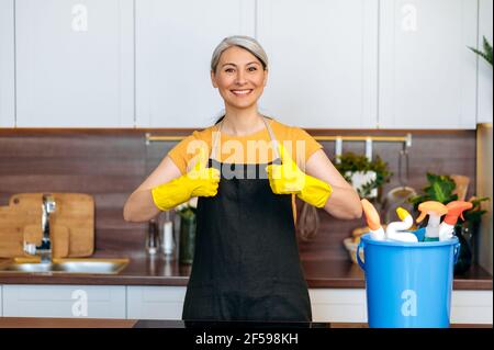 Haired grigio felice casalinga asiatica o donna di pulizia, indossando guanti e grembiule, lavoro di cucina di finitura, mostra il pollice in su gesto, guardando la macchina fotografica, sorridente amichevole. Concetto di servizio di pulizia Foto Stock
