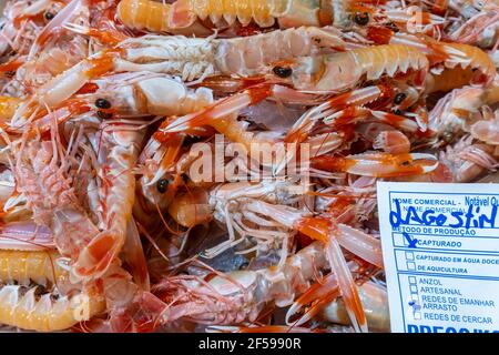 Gamberetti freschi nel mercato del pesce dell'Algarve, Portogallo Foto Stock