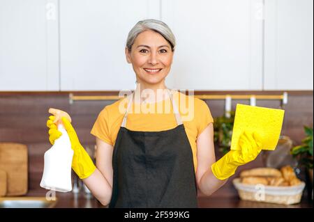 Ritratto di casalinga asiatica soddisfatta con capelli grigi o donna di pulizia che lavora in cucina indossando un grembiule e guanti, tenendo uno straccio e detersivo in mano, guardando la macchina fotografica, sorridendo Foto Stock