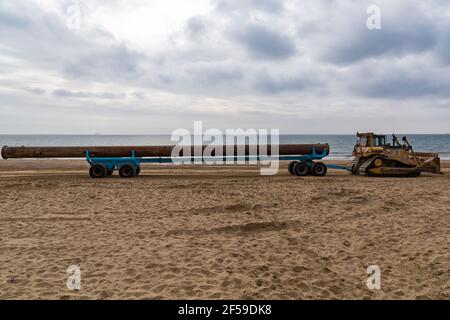 Cat Caterpillar D7H Serie II trasporto di grandi tubi su rimorchio lungo la spiaggia per lavori di rifornimento delle spiagge di Bournemouth e Poole, Dorset UK Foto Stock