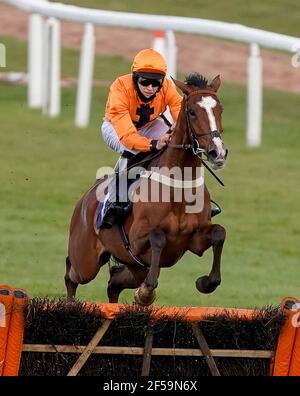 Chester Williams Riding Galice Macalo libera l'ultimo a vincere il mese della storia delle donne oliversbookshop.co.uk l'ostacolo dei novizi di Mares all'ippodromo di Chepstow. Data immagine: Giovedì 25 marzo 2021. Foto Stock