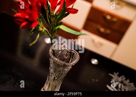 Un primo piano di un giglio rosso splendidamente fiorito Foto Stock