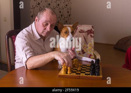 Uomo caucasico maturo con cane basenji guardando su una scacchi consiglio e pensare al prossimo passo in una famiglia di scacchi torneo Foto Stock