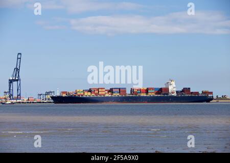 Nave portacontainer MSC Tokyo con arrivo al porto di Felixstowe, Suffolk, Regno Unito. Foto Stock