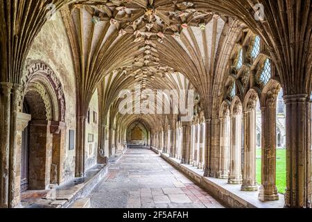 The Cloisters in Canterbury Cathedral, Kent UK Foto Stock