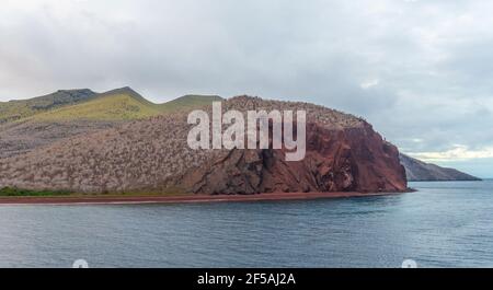 Paesaggio panoramico aereo dell'isola di Rabida con spiaggia di sabbia rossa, parco nazionale delle isole Galapagos, Ecuador. Foto Stock