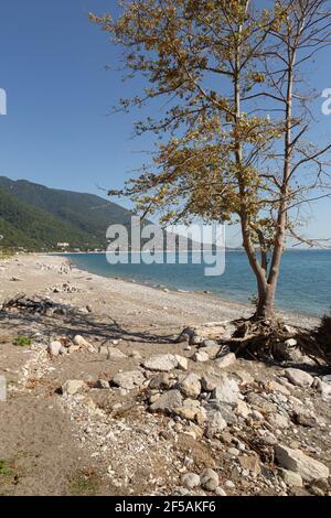 Vista da una spiaggia della città di Gagra, luglio di 2018, Abkhasia. Foto Stock