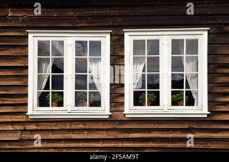 Vista in primo piano di due finestre bianche con tende dal all'interno e piante sul davanzale Foto Stock