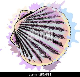 Vista dall'alto, capesante a conchiglia da un tuffo di acquerello, disegno colorato, realistico. Illustrazione vettoriale delle vernici Illustrazione Vettoriale