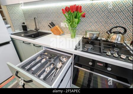 Cassetti estraibili nel cabinet in teal di lusso e bianco arredamento moderno della cucina Foto Stock