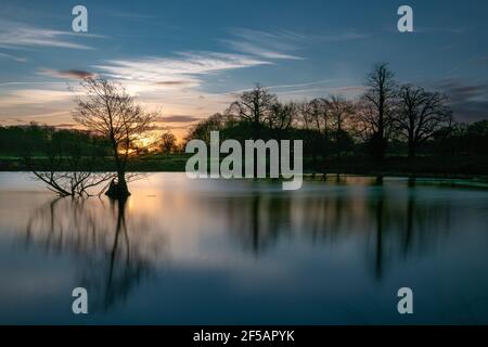 Mattina gelida fredda in inverno a Pen Ponds, Richmond Park, Londra, Regno Unito Foto Stock