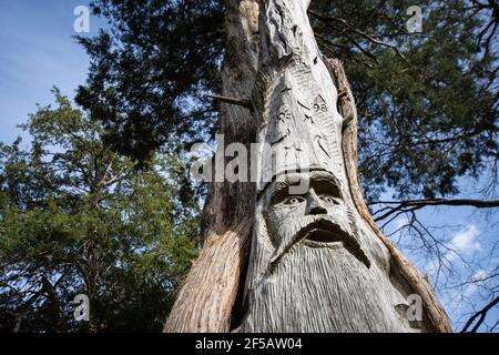 Montevallo, Alabama/USA-Marzo 12: Una delle famose facce intagliate in legno nel Parco Orr dall'artista Tim Tingle. Questo progetto è iniziato nel 1993 e ora vanta ov Foto Stock