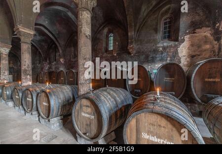 Monastero di Eberbach, Eltville, Germania Foto Stock