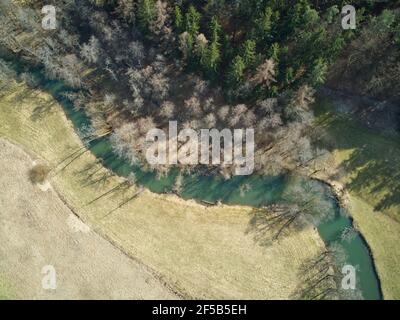 Scatto aereo di un fiume meandering. Foto aerea di un fiume turchese che scorre attraverso una foresta di conifere. Foto Stock