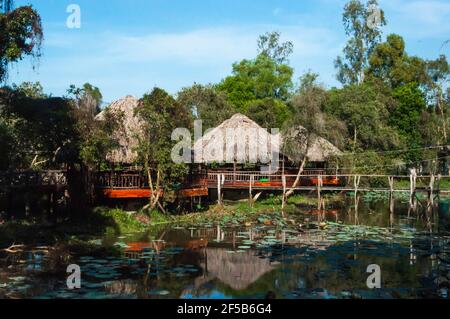 Palafitte ricoperte di foglie di palma su un lago. Un ponte di legno conduce sopra un lago all'edificio. Il lago è coperto di giglio - Foto Stock
