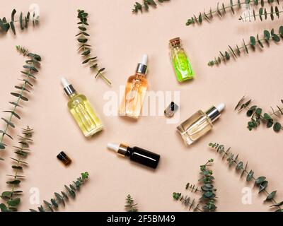 Bottiglie di vetro di essenza o siero con foglie di eucalipto naturale su sfondo beige. Cosmetici naturali e spa a disposizione Foto Stock