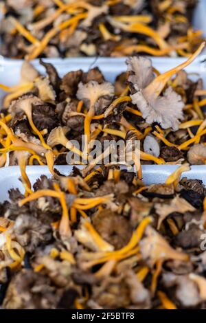 VIC mercato settimanale, prodotti freschi e biologici, Barcellona, Catalogna, Spagna. Foto Stock