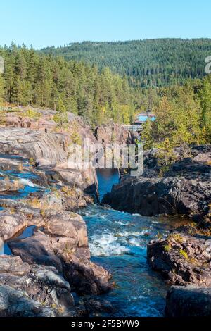 Storforsen, enorme cascata selvaggia sul fiume Pite in un artico svedese in una giornata soleggiata di estate artica. Zona di Norrbottens, a nord-ovest di Alvsbyn. Selvaggio Foto Stock