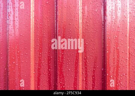 Gocce d'acqua su una lamiera di copertura a profilo ondulato. La superficie del profilo metallico rosso con gocce di fondo d'acqua Foto Stock