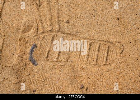Primo piano della stampa con scarpe calpestata dalle ciabatte sulla spiaggia vicino al mare Foto Stock