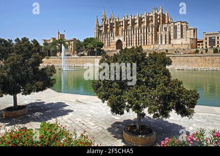 Geografia / viaggio, Spagna, Palazzo Almudaina e cattedrale di Palma di Maiorca, Baleari, diritti aggiuntivi-clearance-Info-non-disponibile Foto Stock