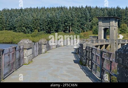 L Lyn ALWEN Reservoir, Galles Foto Stock