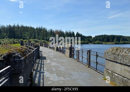 ALWEN Dam Reservoir e le persone che si godono un picnic sulla riva, Galles Foto Stock