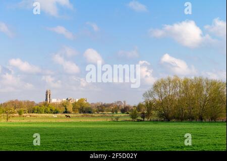 Vista sul campo di grano verde, gli alberi e l'antica cattedrale sotto il cielo blu in primavera, vista da Minster Way a Beverley, Yorkshire, Regno Unito. Foto Stock