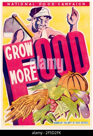 Colombo, poster della produzione alimentare della seconda Guerra Mondiale: Grow More Food, (Ceylon), 1942-1945 Foto Stock