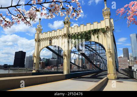 Primavera nella città di Pittsburgh, Pennsylvania. Skyline di Pittsburgh con fiori di ciliegio. Foto Stock