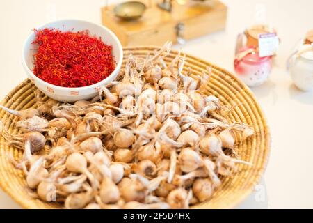 Saffran e bulbi, fiori e zafferano spezie Foto Stock