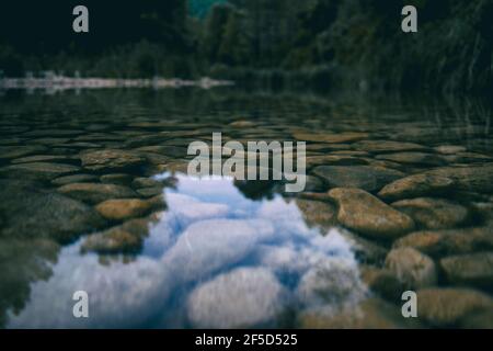 calmo ruscello con molte pietre sul percorso, circondato da una foresta molto verde in catalogna, spagna Foto Stock